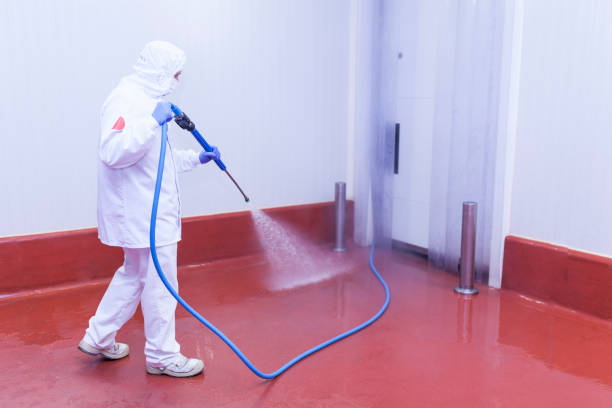 Best Sidewalk and Walkway Cleaning  in Terre Du Lac, MO